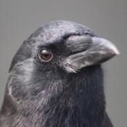 Caw!'s - Steam avatar