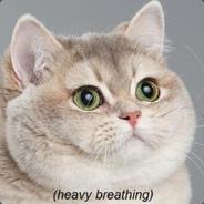 CrazyCat's Stream profile image