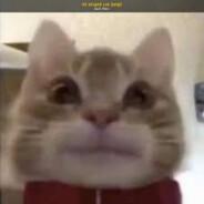 BricK's Stream profile image