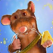 lutujibaba's Stream profile image