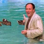 Tony Soprano's Ducks's - Steam avatar