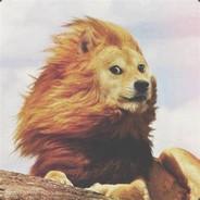 Don_Julius's - Steam avatar