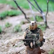 Marmotte_Hargneuse's Stream profile image