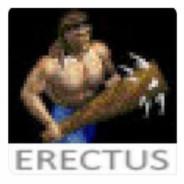 BRUHH's Stream profile image