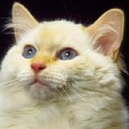 it's me's Stream profile image