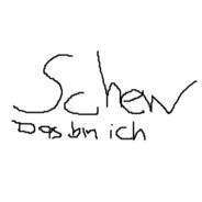 Schew's Stream profile image