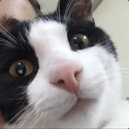 Whitish's Stream profile image