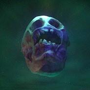 Broeerrr's - Steam avatar