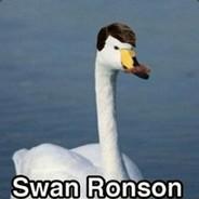 Swan Ronson's Stream profile image