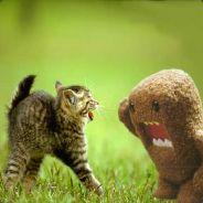 Atomo's Stream profile image