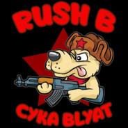 Rush B's Stream profile image