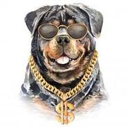 kuzer's Stream profile image