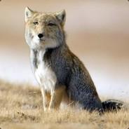Blondin's Stream profile image