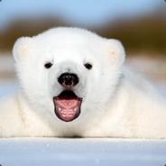 Baby Polar Bear's Stream profile image