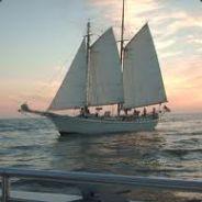 sailboat517's Stream profile image