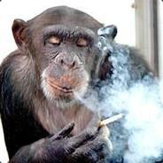 Francis Taco's Stream profile image