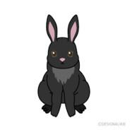 BlackRabbit's - Steam avatar