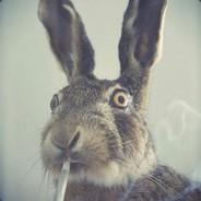 Jarothi's - Steam avatar