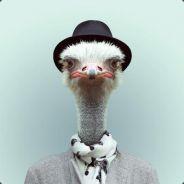 Kahio's - Steam avatar