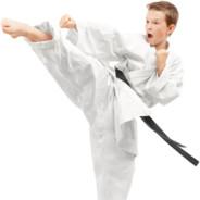 karate boi's Stream profile image