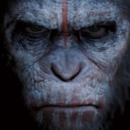 Derranged Ape's - Steam avatar