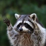 RidingRaccoon's - Steam avatar
