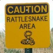 Rattlesnake8's - Steam avatar