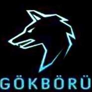 gökbörü's Stream profile image