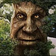 MAGICAL TREE's Stream profile image