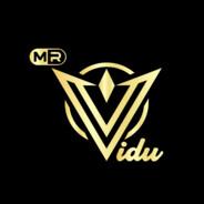 Mr_Vidu's - Steam avatar