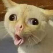 Alex's Stream profile image