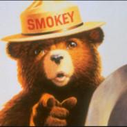 SmokeyTheBear's Stream profile image