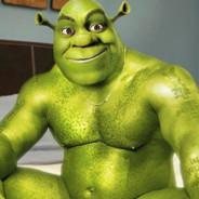 Shrekmongulous's Stream profile image