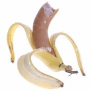 Bananenwurst's Stream profile image