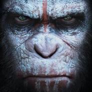 Caesar The Ape's - Steam avatar