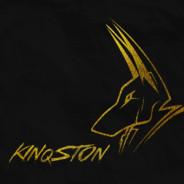 KinqSTon's Stream profile image