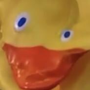 Duckius Doltius's Stream profile image