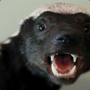 Honeybadger's Stream profile image