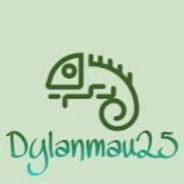 Dylanmau25's Stream profile image