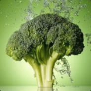 Broccoli's Stream profile image