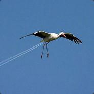 Chemtrail's - Steam avatar