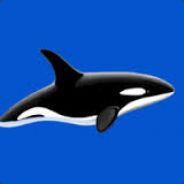 kitkasatka's - Steam avatar