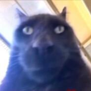 2hands's Stream profile image