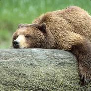 JustGRizzly's - Steam avatar