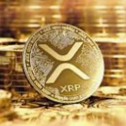 XRP's Stream profile image