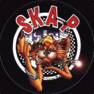 ska.nl's Stream profile image