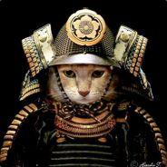 Rixi Kahn's - Steam avatar