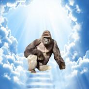 pmart's Stream profile image