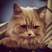 gavilanfran's - Steam avatar