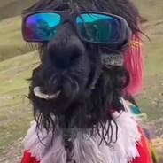 kelokev's Stream profile image